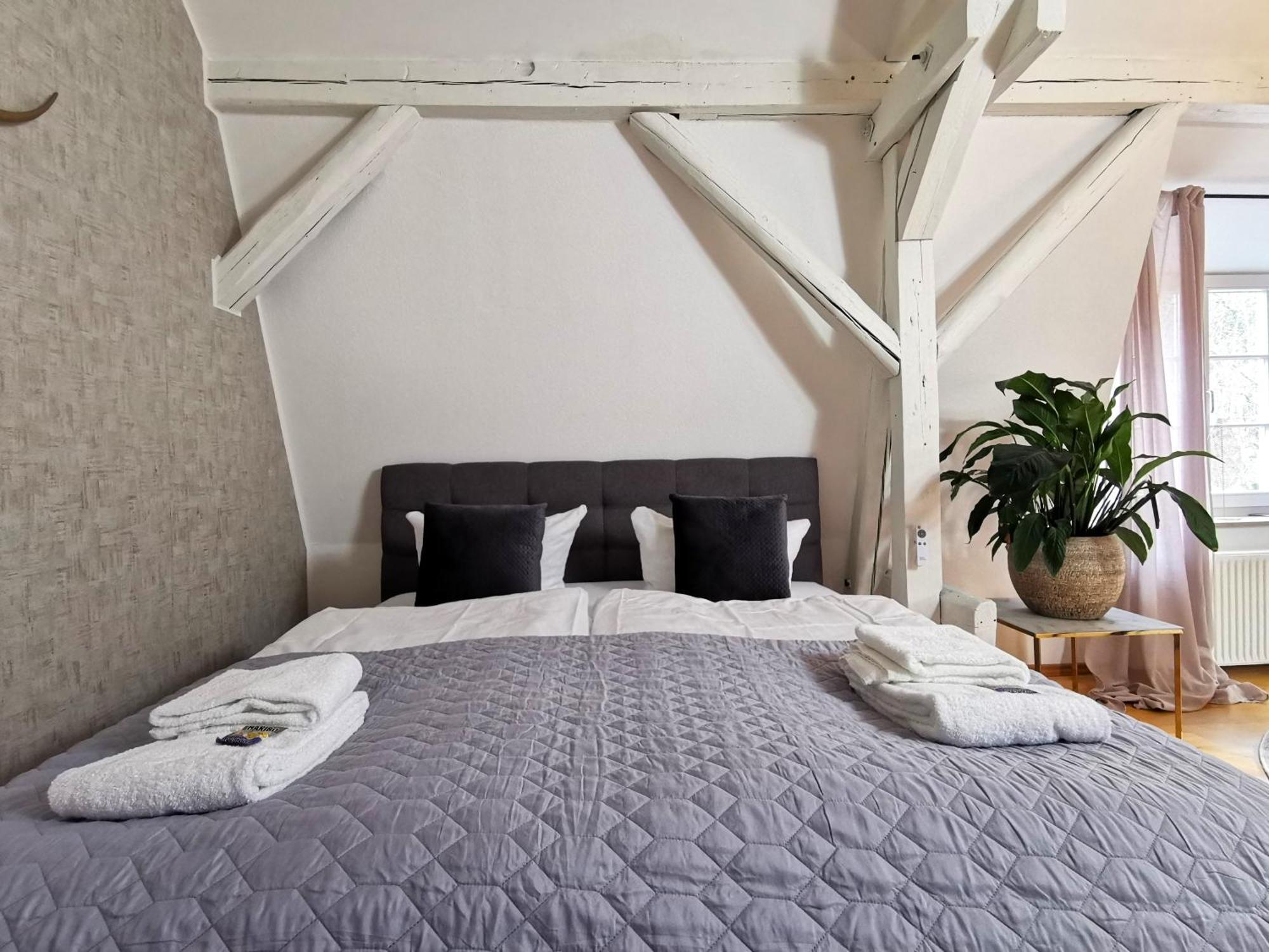 Bohnapartments Steigerwald - In Der Stadt - Vollausstattung - Wlan - Gratis Parkplaetze Apartment Erfurt