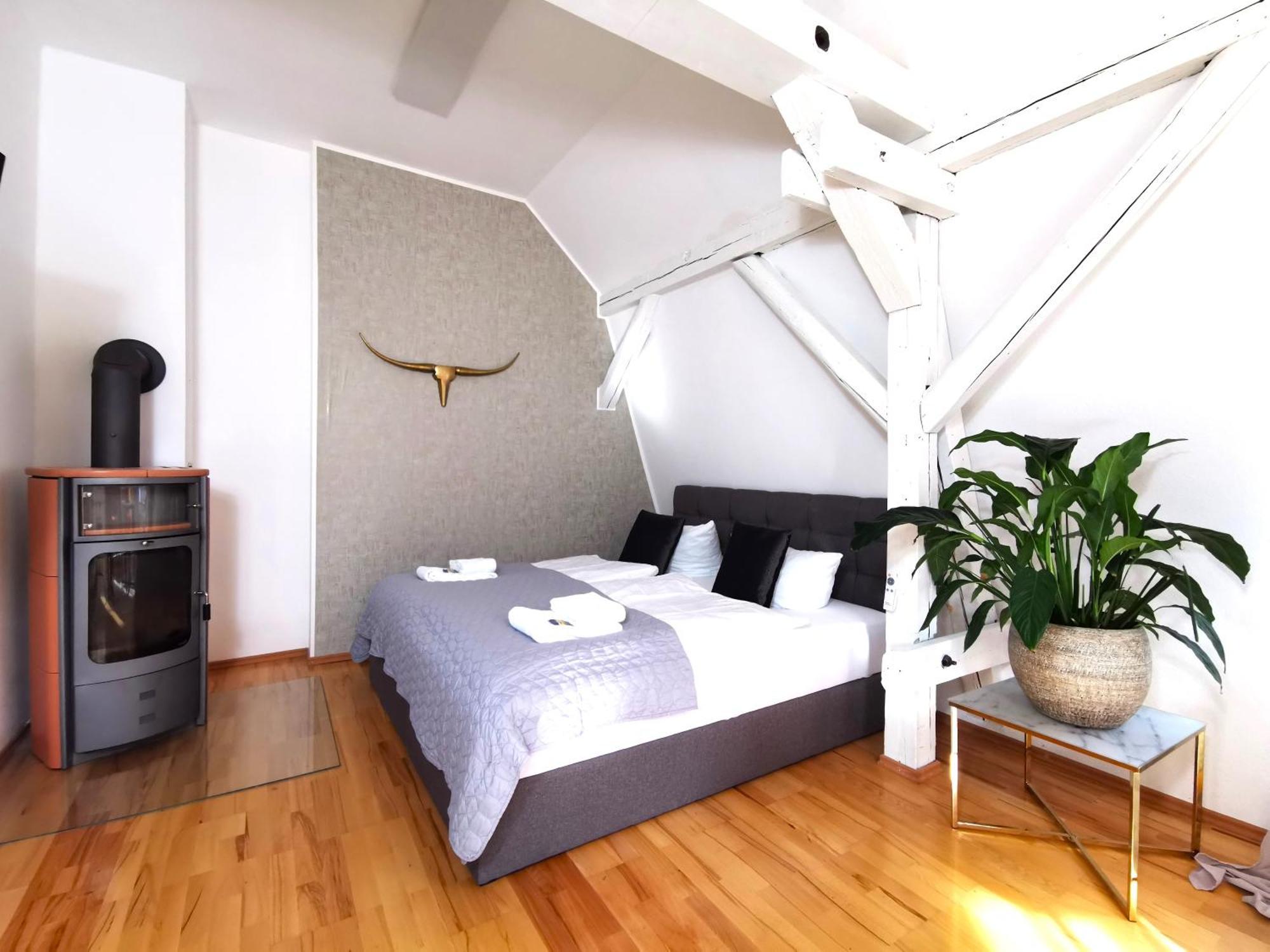 Apartment Bohnapartments Steigerwald - In Der Stadt - Vollausstattung - Wlan - Gratis Parkplaetze Erfurt