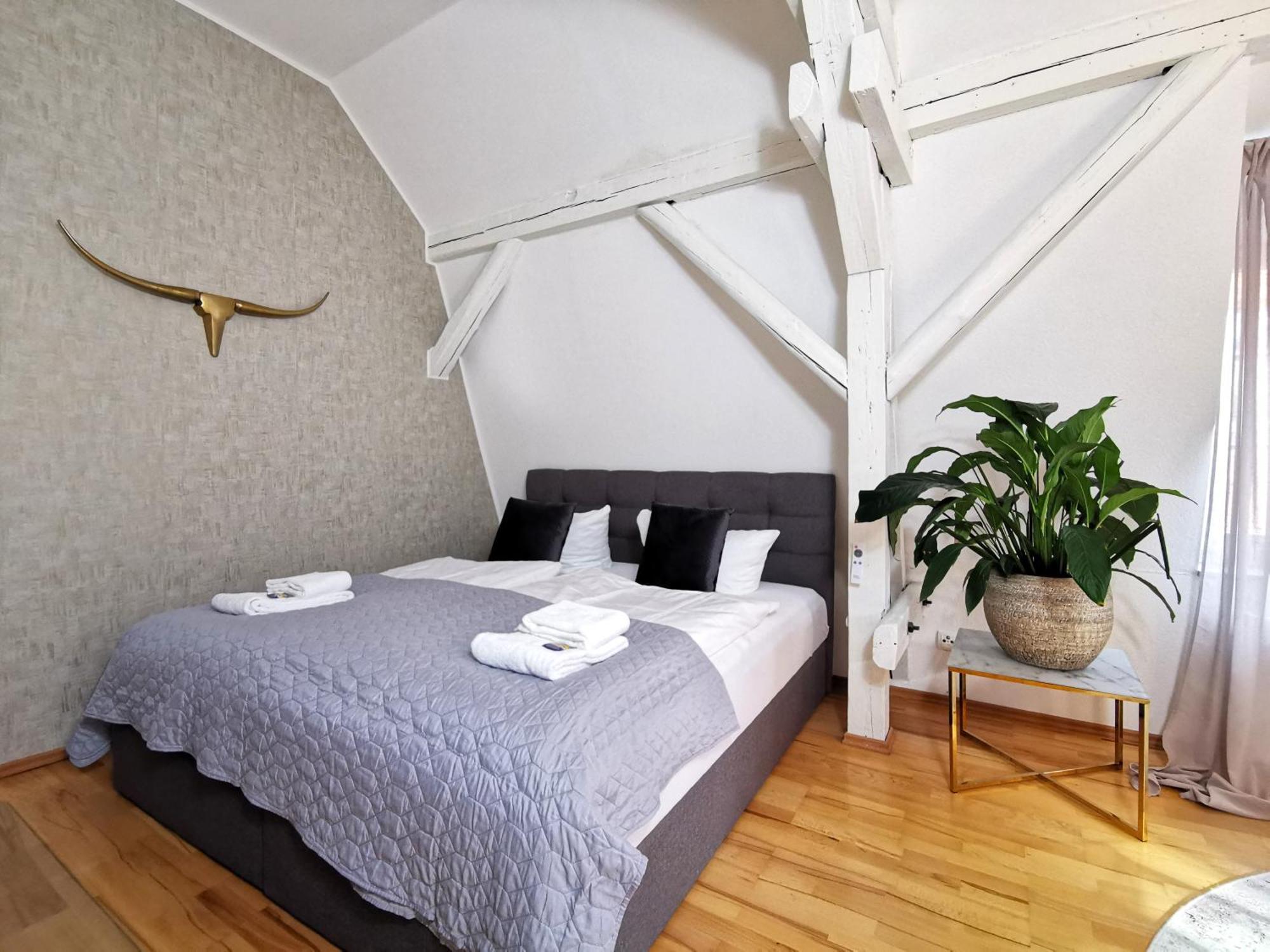 Bohnapartments Steigerwald - In Der Stadt - Vollausstattung - Wlan - Gratis Parkplaetze Erfurt